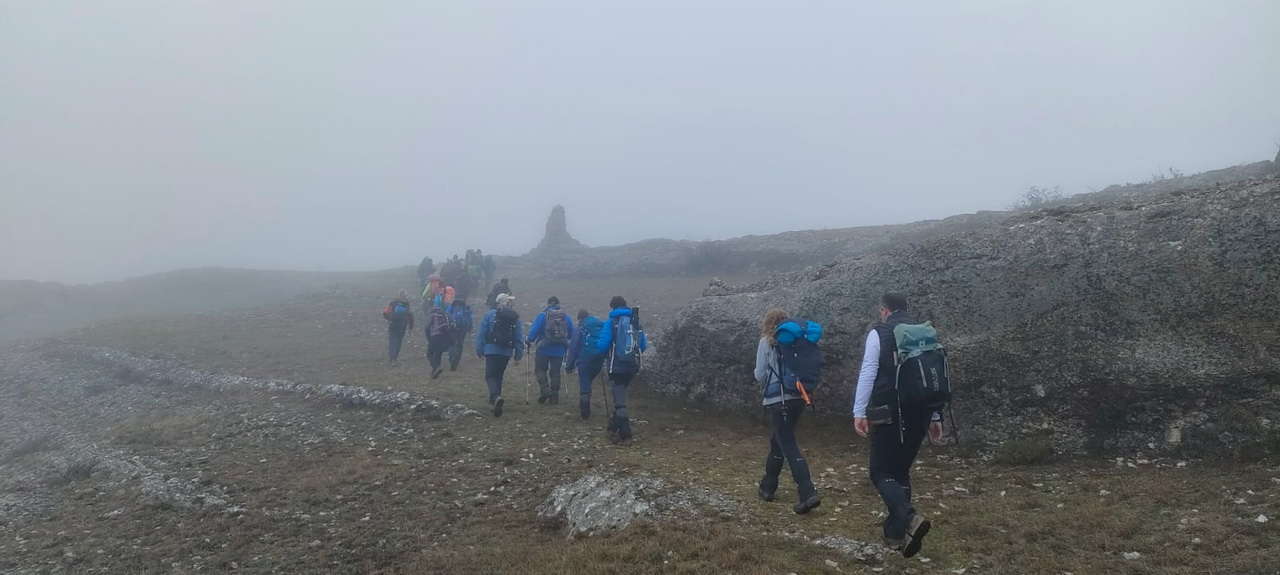 WhatsApp Image 2026-02-10 at 14.47.44 (1)